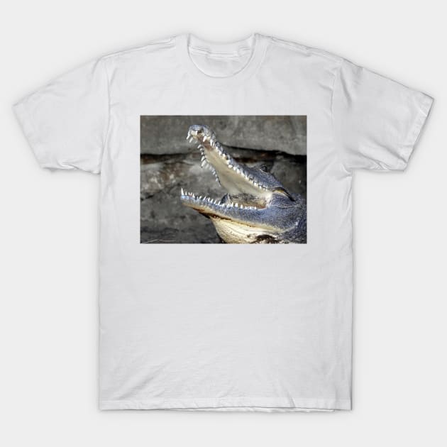 Freshwater Crocodile T-Shirt by kirstybush